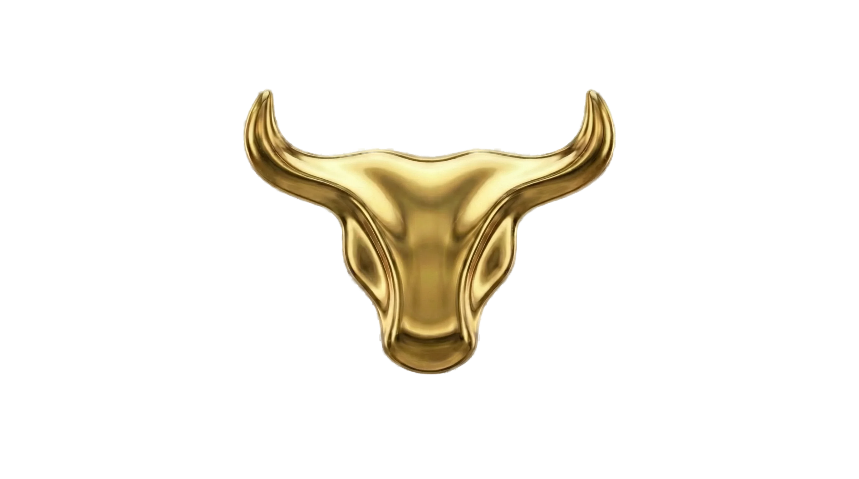 CalcMoney Logo